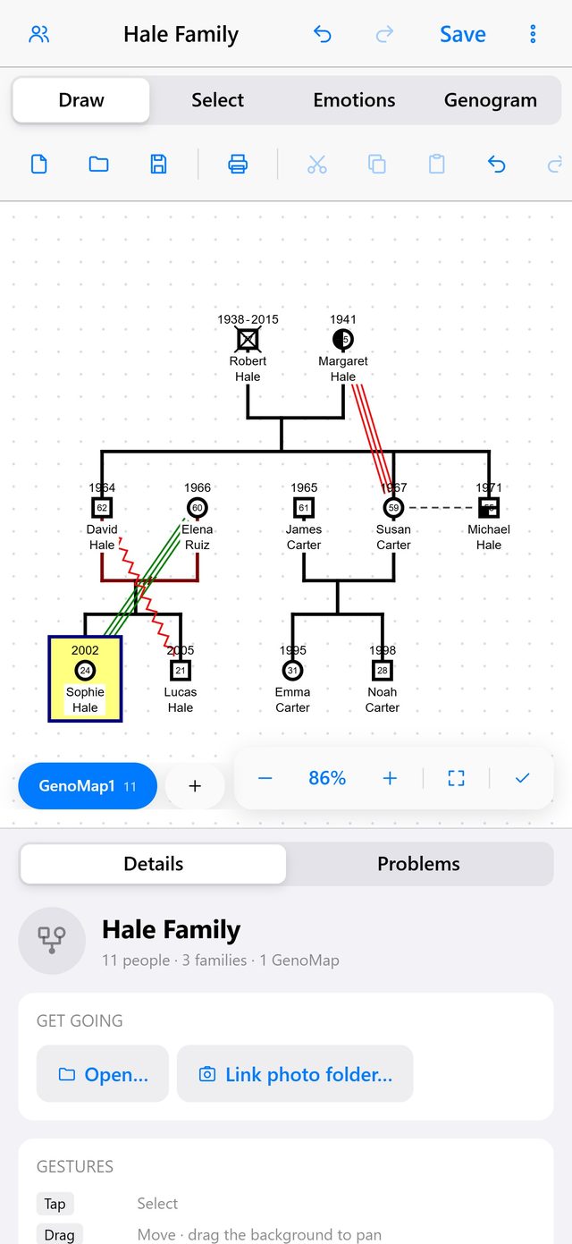 The same genogram on iPhone, with the details panel below